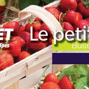 Le petit fruité - Bulletin technique | Mai 2025 #6