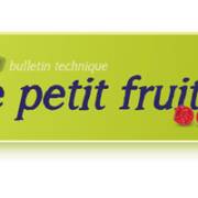 Le petit fruité - Bulletin technique | Novembre 2024 #1