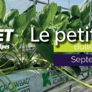 Le petit fruité - Bulletin technique | Septembre 2025 #8