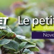 Le petit fruité - Bulletin technique | Novembre 2025 #9