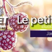 Le petit fruité - Bulletin technique | Janvier 2026 #10