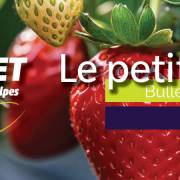 Le petit fruité - Bulletin technique | Mai 2026 #14